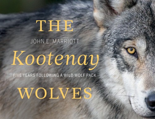 Cover: The Kootenay Wolves: Five Years Following a Wild Wolf Pack