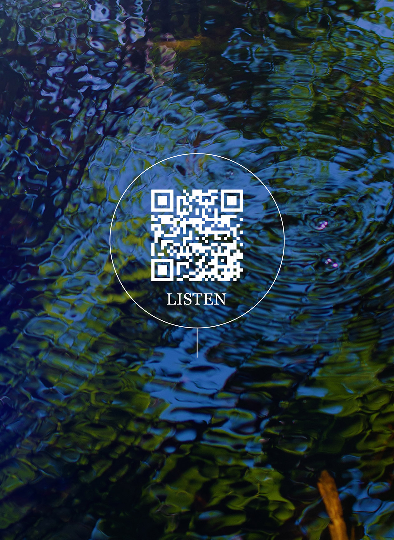 Cover: Wetland Project: Explorations in Sound, Ecology and Post-Geographical Art